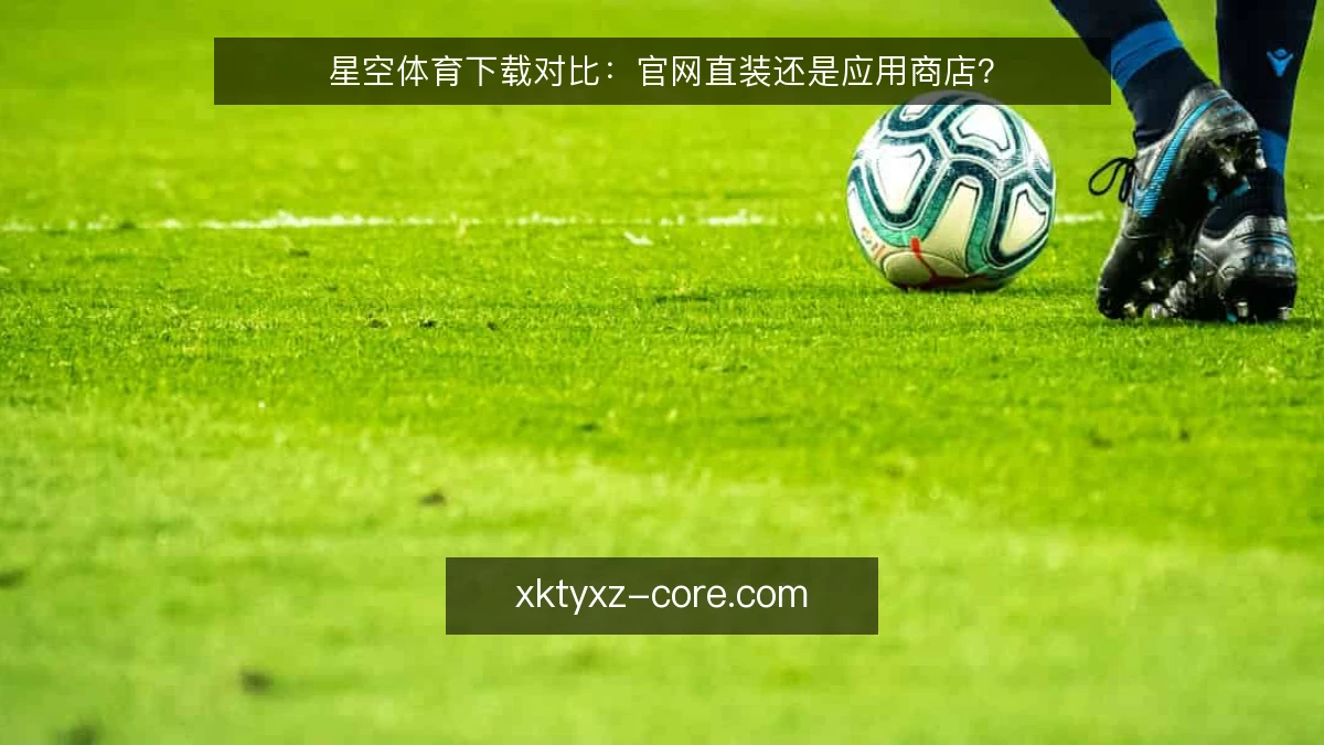 星空体育下载对比:官网直装还是应用商店?